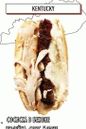hot dog cu cârnați în slănină, curcan, sos morne