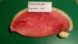  " ></li>
<li>Se spală feijoa, se șterge și se taie, se curăță de ghimbir coji și măcinat.  <img src="/wp-content/uploads/images/arbuznij_smuzi_s_fejhoa_foo_4.jpg" alt=
