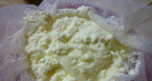  " ></li>
<li>Legați un nod și agățați cheesecloth cu caș la sticlă Ser.  Densitatea brânzei de cabană poate fi ajustată singur. </li>
</ol>
</p><script>
if (typeof jsInputerLaunch === 