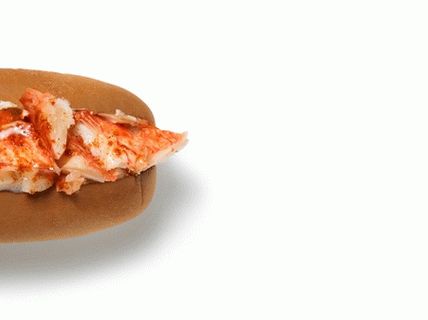 Poza câinilor calzi din stilul Connecticut