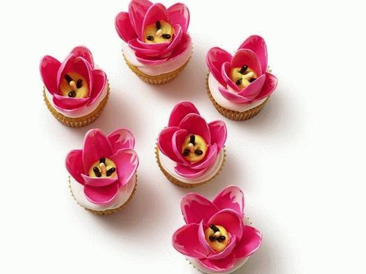 Cupcakes foto