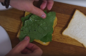 Sandwich cu șuncă și brânză - 0