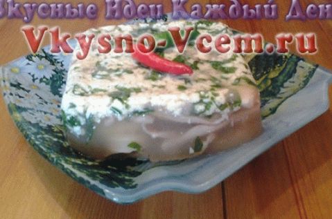 Aperitiv rece de calmar. Jeleu