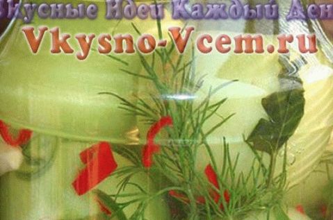 Retete pentru conserve de rosii verzi